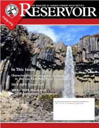 In This Issue
