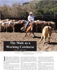 The Mule As a Working Cowhorse by Dr