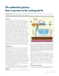 The Subduction Factory: How It Operates in the Evolving Earth