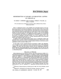 REDISTRIBUTION of MYOSIN ACCOMPANYING CAPPING of SURFACE Ig*