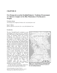 CHAPTER 10 New Perspectives on The