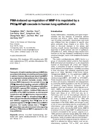 PMA-Induced Up-Regulation of MMP-9 Is Regulated by a Pkcα-NF-Κb Cascade in Human Lung Epithelial Cells