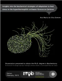Ana Maria Da Silva Esteves Dissertation Presented to Obtain The