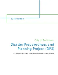 Disaster Preparedness and Planning Project (DP3)