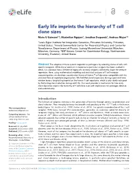 Early Life Imprints the Hierarchy of T Cell Clone Sizes Mario U Gaimann1,2, Maximilian Nguyen1, Jonathan Desponds3, Andreas Mayer1*
