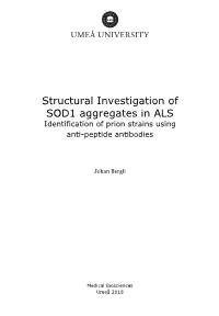 Structural Investigation of SOD1 Aggregates in ALS Identification of Prion Strains Using Anti-Peptide Antibodies