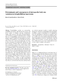Determinants and Consequences of Interspeciwc Body Size Variation in Tetraphyllidean Tapeworms