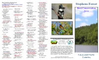 Stephens Forest