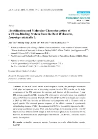 Identification and Molecular Characterization of a Chitin-Binding Protein from the Beet Webworm, Loxostege Sticticalis L