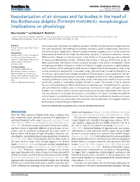 Vascularization of Air Sinuses and Fat Bodies in the Head of the Bottlenose Dolphin (Tursiops Truncatus): Morphological Implications on Physiology