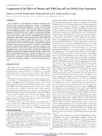 Comparison of the Effect of Mutant and Wild-Type P53 on Global Gene Expression