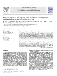High Yield Expression of Biologically Active Recombinant Full Length Human Tuftelin Protein in Baculovirus-Infected Insect Cells