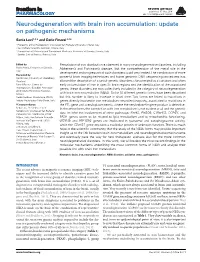 Neurodegeneration with Brain Iron Accumulation: Update on Pathogenic Mechanisms