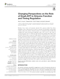 Changing Perspectives on the Role of Dnaa-ATP in Orisome Function and Timing Regulation