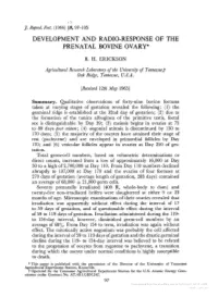 Downloaded from Bioscientifica.Com at 10/02/2021 04:15:20AM Via Free Access 98