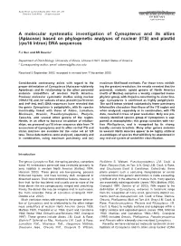 Apiaceae) Based on Phylogenetic Analyses of Nuclear (ITS) and Plastid (Rps16 Intron) DNA Sequences