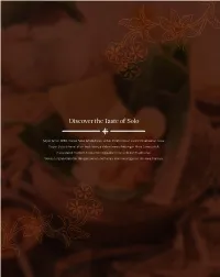 Discover the Taste of Solo