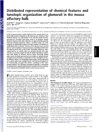 Distributed Representation of Chemical Features and Tunotopic Organization of Glomeruli in the Mouse Olfactory Bulb