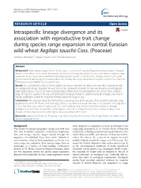 Intraspecific Lineage Divergence and Its Association with Reproductive
