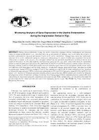 Microarray Analysis of Gene Expression in the Uterine Endometrium During the Implantation Period in Pigs