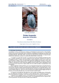 Orden Isopoda: Suborden Oniscidea