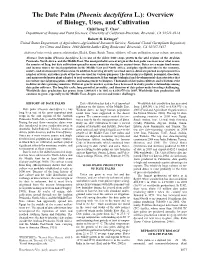The Date Palm (Phoenix Dactylifera L.): Overview of Biology, Uses, and Cultivation Chihcheng T