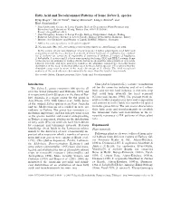 Fatty Acid and Tocochromanol Patterns of Some Salvia L. Species