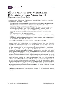 Impact of Antibiotics on the Proliferation and Differentiation of Human Adipose-Derived Mesenchymal Stem Cells