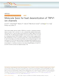 Molecular Basis for Heat Desensitization of TRPV1 Ion Channels