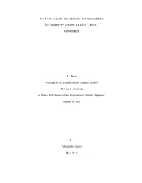 An Analysis of the Spatial Relationships of Domestic