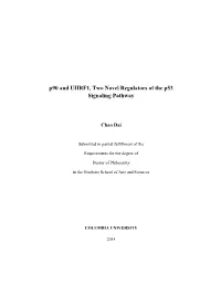 P90 and UHRF1, Two Novel Regulators of the P53 Signaling Pathway