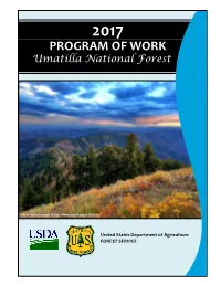 2017… Program of Work