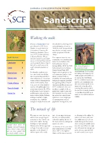 Sandscript Number 2 November 2007