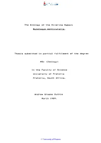 The Ecology of the Riverine Rabbit Bunolagus Monticularis. Thesis Submitted in Partial Fulfilment of the Degree