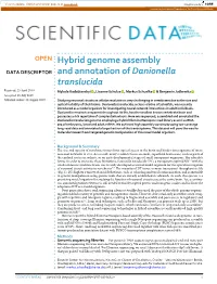 Hybrid Genome Assembly and Annotation of Danionella Translucida