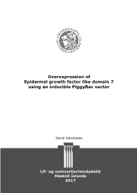 Overexpression of Epidermal Growth Factor Like Domain 7 Using an Inducible Piggybac Vector