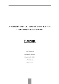 What Is the Role of a Cluster in the Business Co-Operation Development?