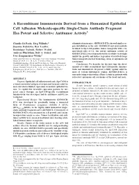 A Recombinant Immunotoxin Derived from a Humanized Epithelial Cell