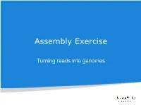 Assembly Exercise