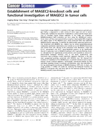 Knockout Cells and Functional Investigation of MAGEC2 in Tumor Cells