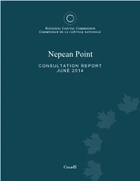 Nepean Point Consultation Report