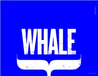 Whalebrooklyn.Com Overview