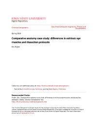 Differences in Extrinsic Eye Muscles and Dissection Protocols