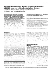 No Association Between Genetic Polymorphisms of the NDUFS7