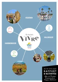 Rapport D'activités