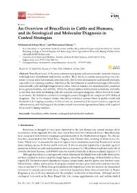 An Overview of Brucellosis in Cattle and Humans, and Its Serological and Molecular Diagnosis in Control Strategies