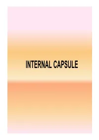INTERNAL CAPSULE • Projection Fibres- Internal Capsule