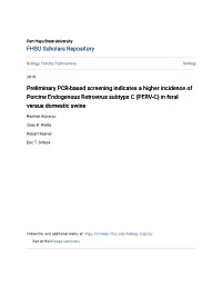 Preliminary PCR-Based Screening Indicates a Higher Incidence of Porcine Endogenous Retrovirus Subtype C (PERV-C) in Feral Versus Domestic Swine
