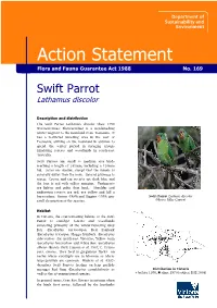 Swift Parrot (Lathamus Discolor)
