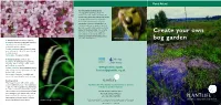 Create Your Own Bog Garden Create Your Own Bog Garden P a L D U a L E N R I Nettles and Docken